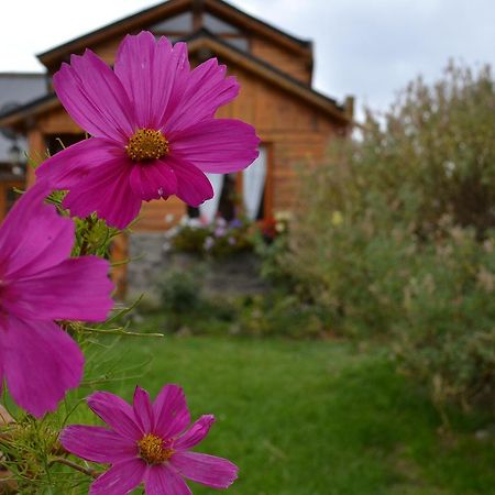 Cabanas Natanael Trevelín Dış mekan fotoğraf